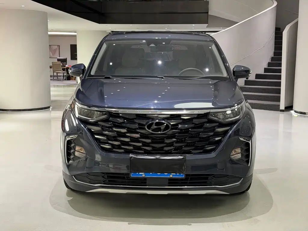 Hyundai Custo — миниатюра 2