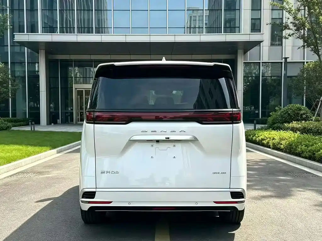 Denza Denza D9 — миниатюра 9