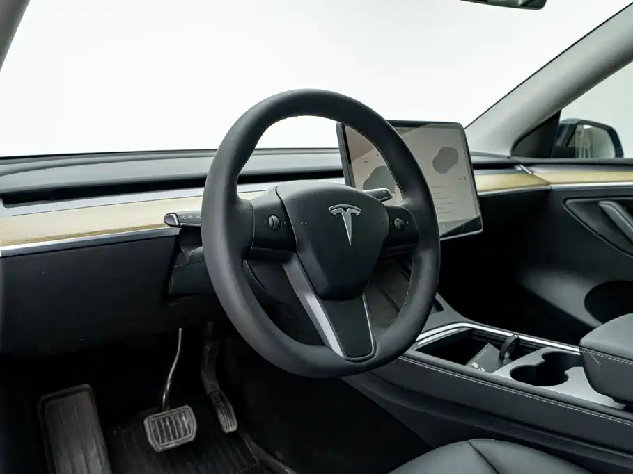 Tesla Model Y — миниатюра 13