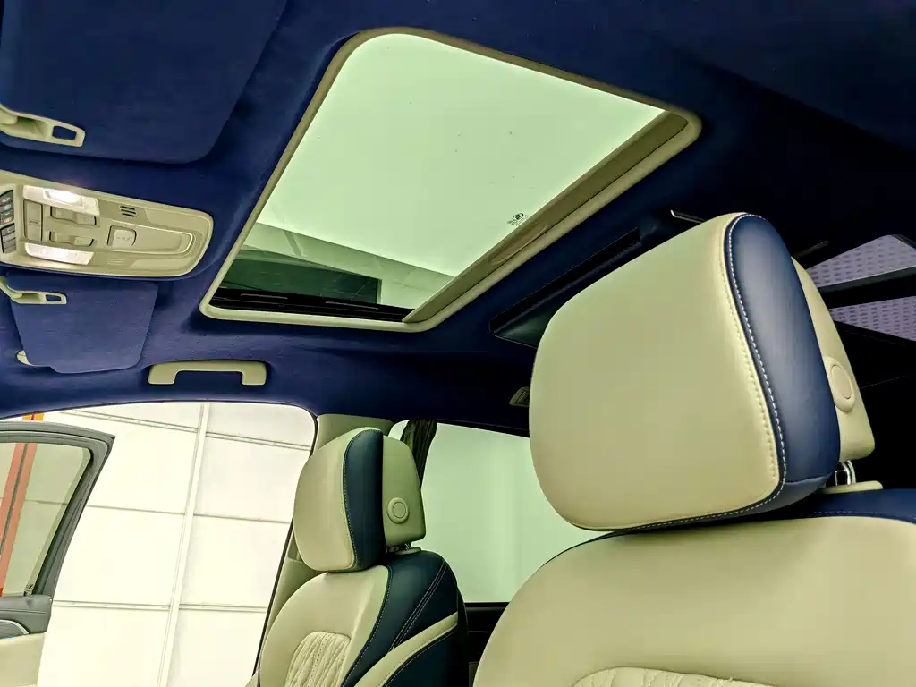 Buick GL8 — миниатюра 9
