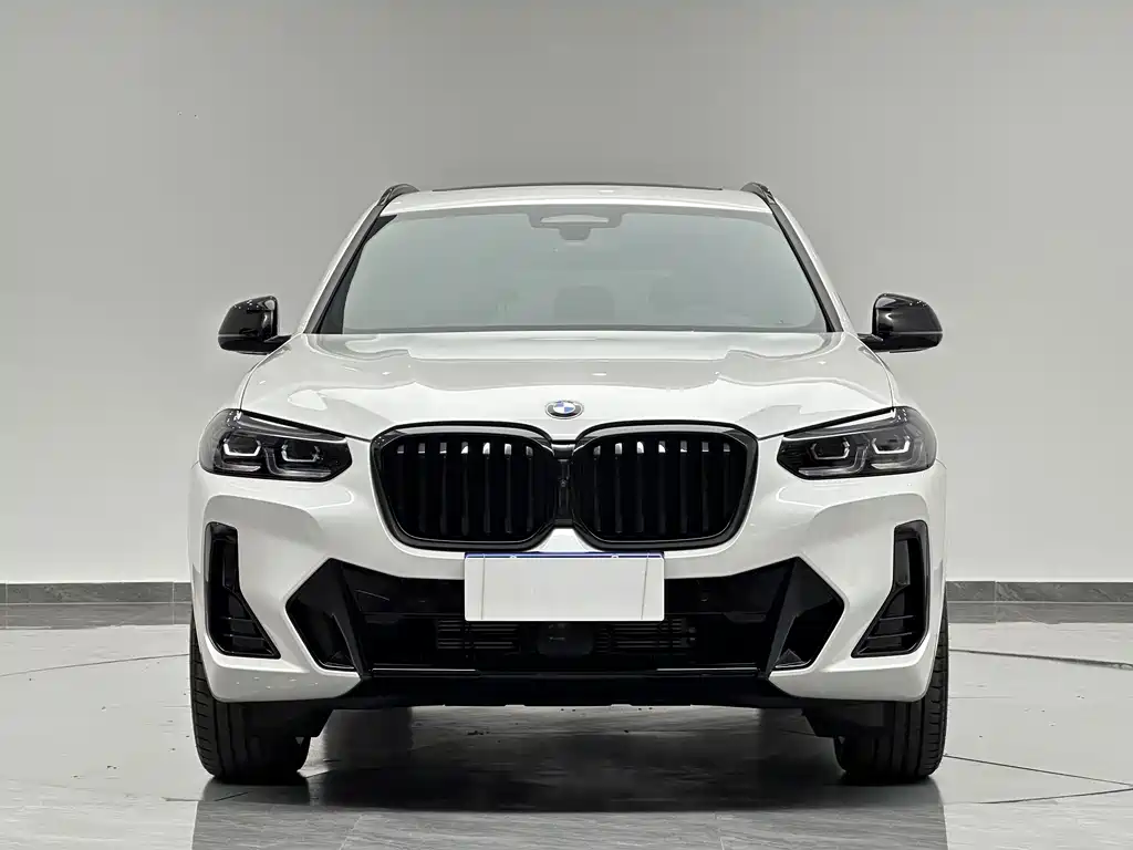 BMW X3 — миниатюра 2