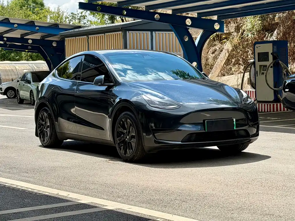 Tesla Model Y — миниатюра 3