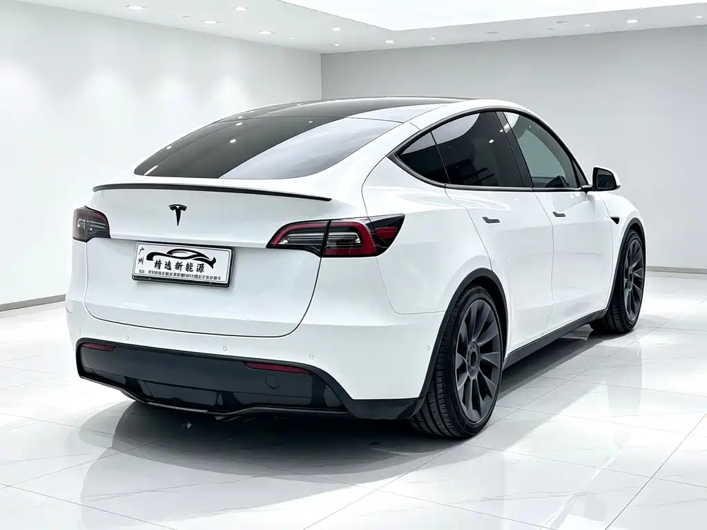 Tesla Model Y — миниатюра 26