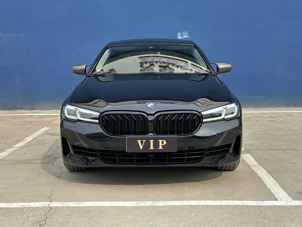 BMW 5 Series — миниатюра 2