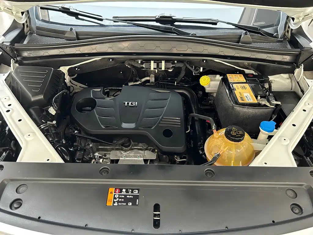 Roewe RX5 MAX — миниатюра 39