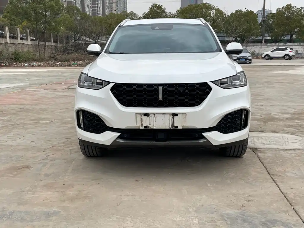 WEI PAI WEI BRAND VV6