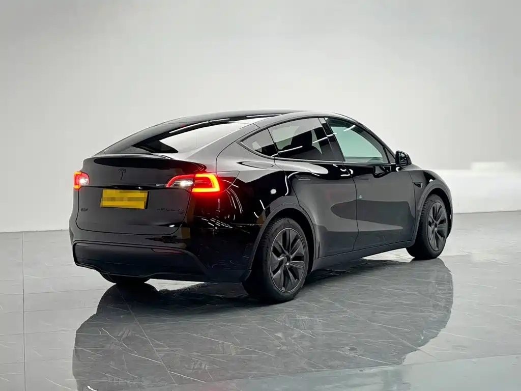 Tesla Model Y — миниатюра 6
