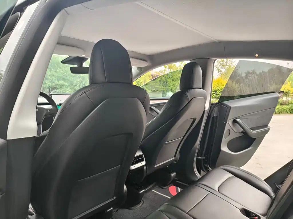 Tesla Model Y — миниатюра 6