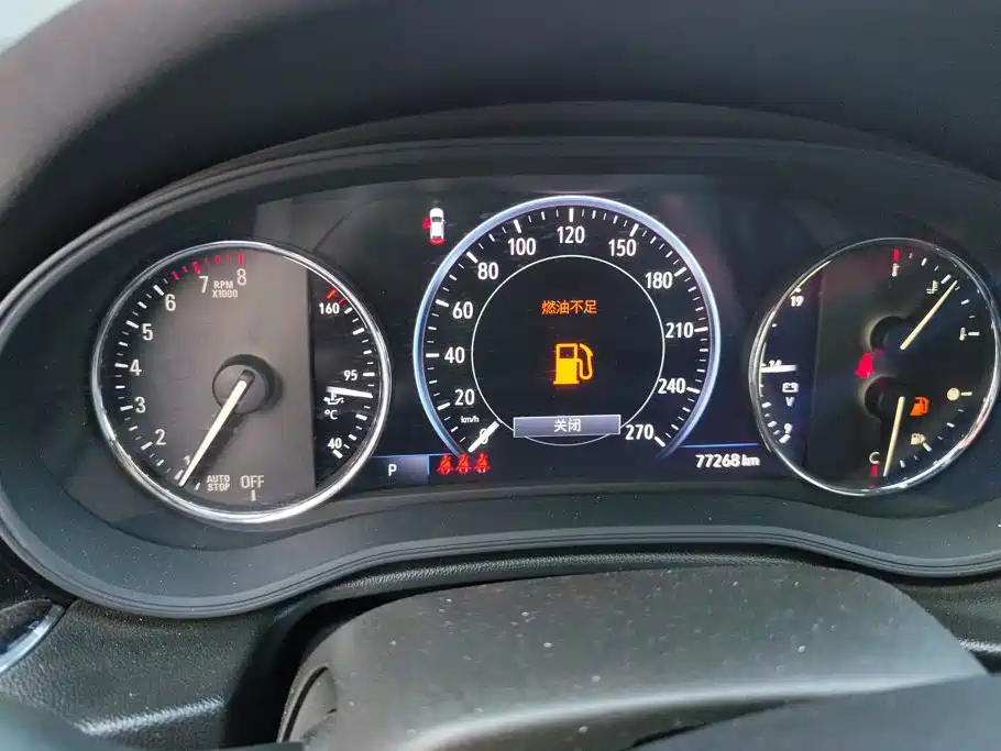 Buick Regal — миниатюра 14