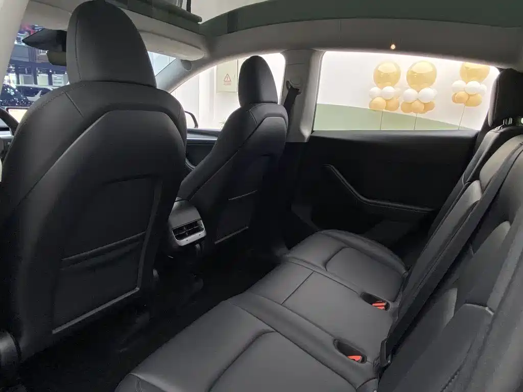 Tesla Model Y — миниатюра 20
