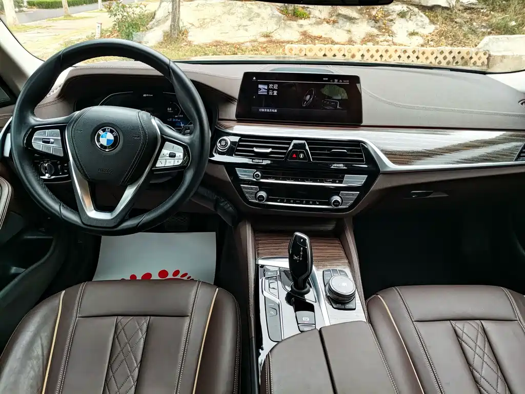 BMW 5 Series New Energy — миниатюра 10