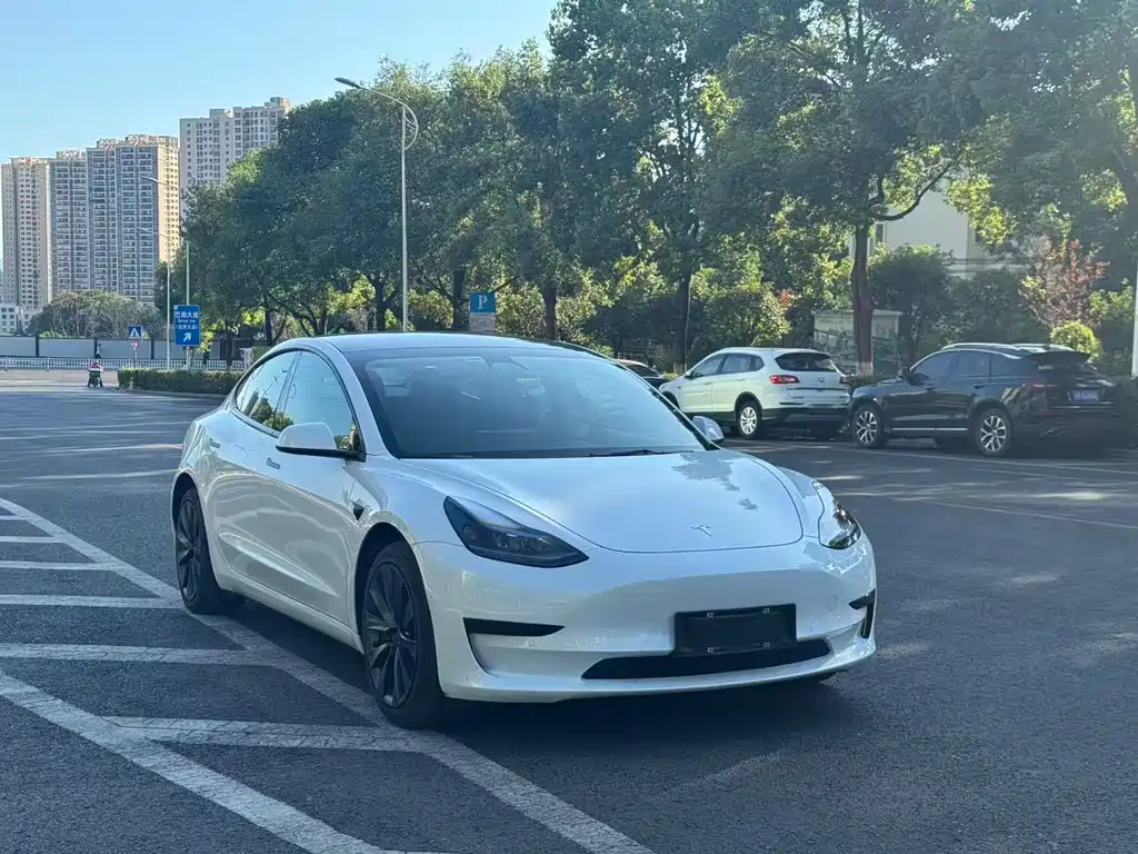 Tesla Model 3 — миниатюра 3