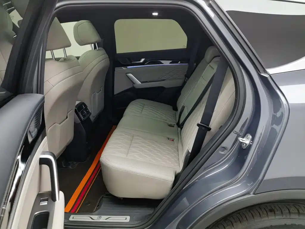 BYD Tang New Energy — миниатюра 15