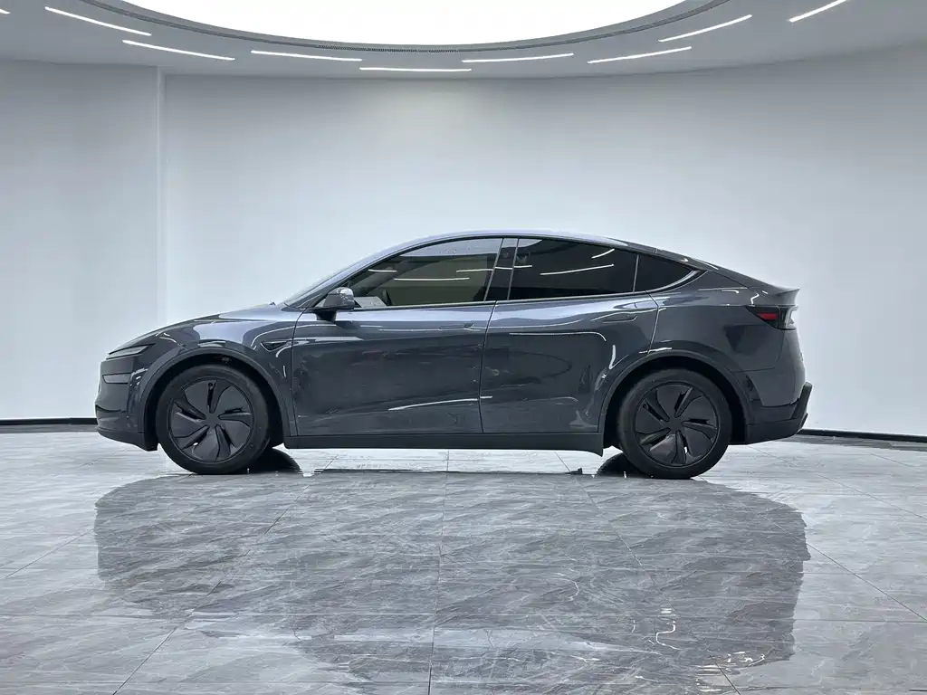 Tesla Model Y — миниатюра 8