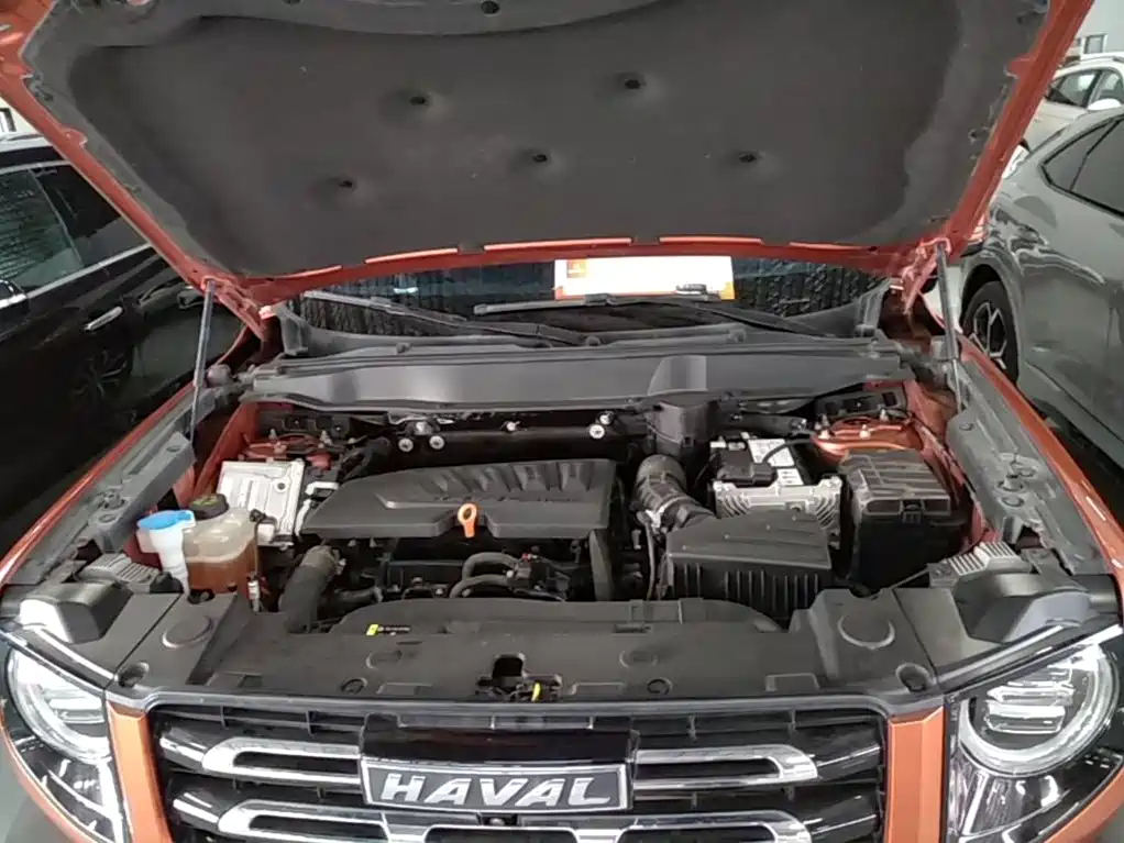 Haval Big Dog — миниатюра 18
