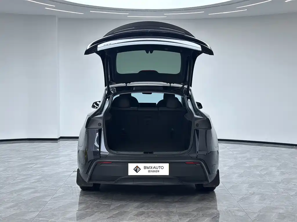 Tesla Model Y — миниатюра 8
