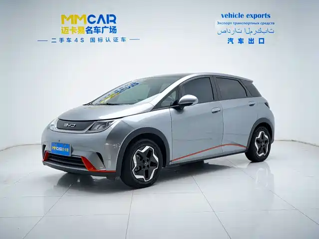 2023 BYD Dolphin