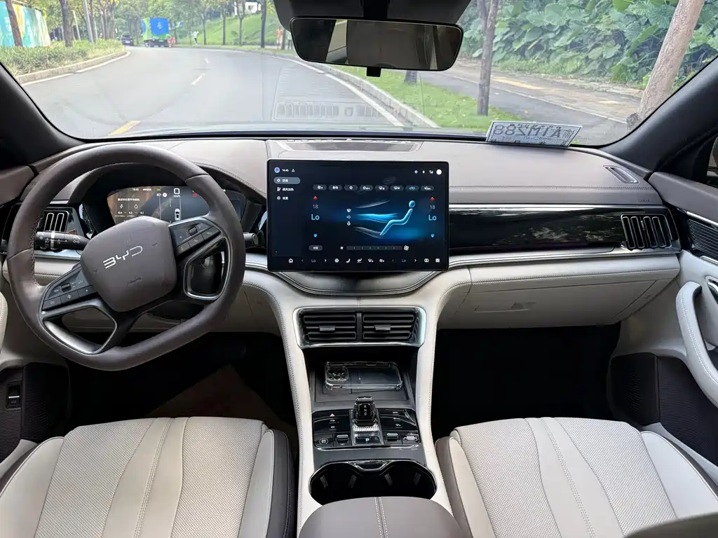 BYD PLUS New Energy — миниатюра 20