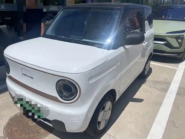 2024 Geely LC (Panda)