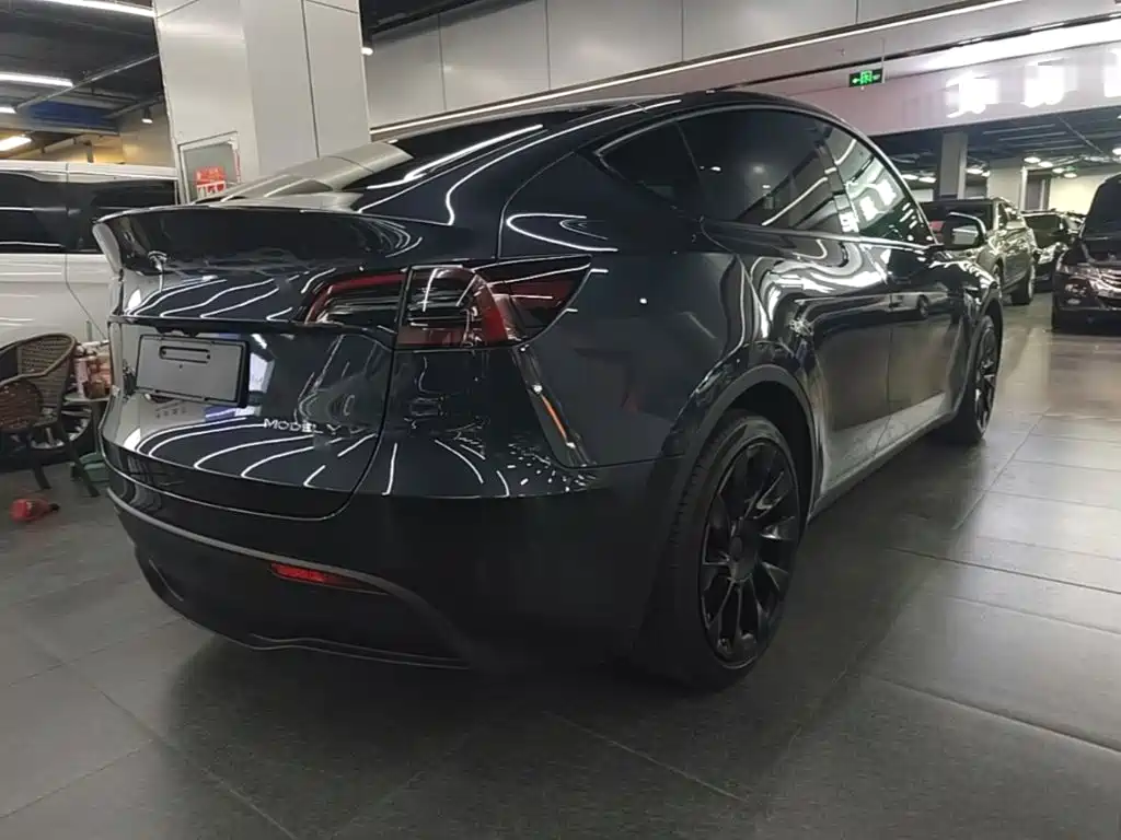 Tesla Model Y — миниатюра 7