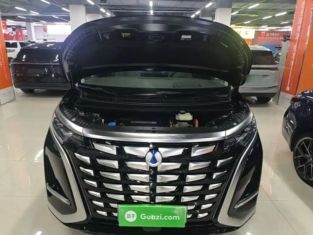 Denza Denza D9 — миниатюра 20