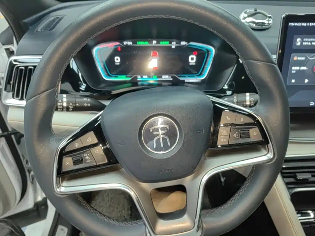 BYD PLUS New Energy — миниатюра 11