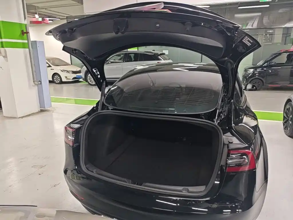 Tesla Model 3 — миниатюра 19