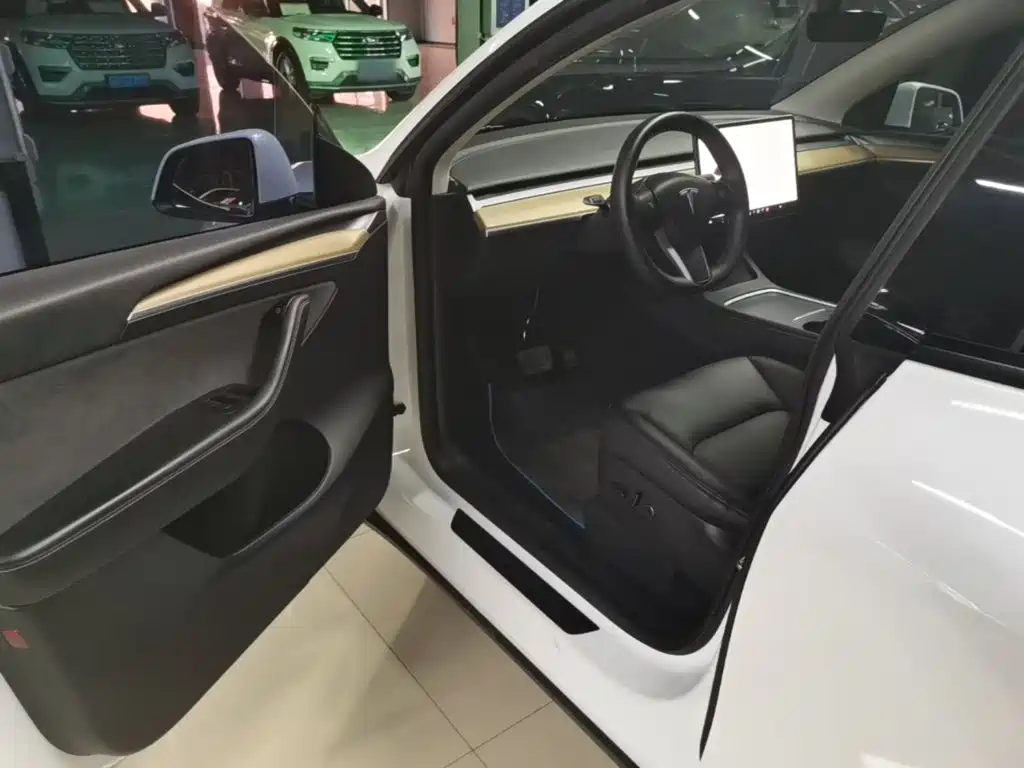 Tesla Model Y — миниатюра 16