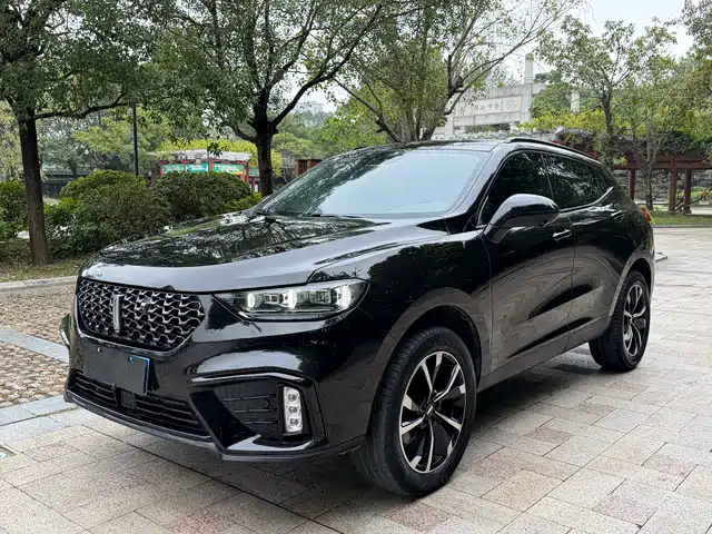 WEI PAI WEI BRAND VV5 2020