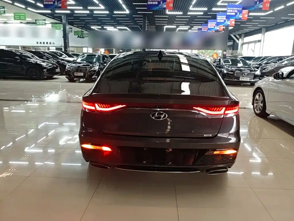 Hyundai Fista — миниатюра 6