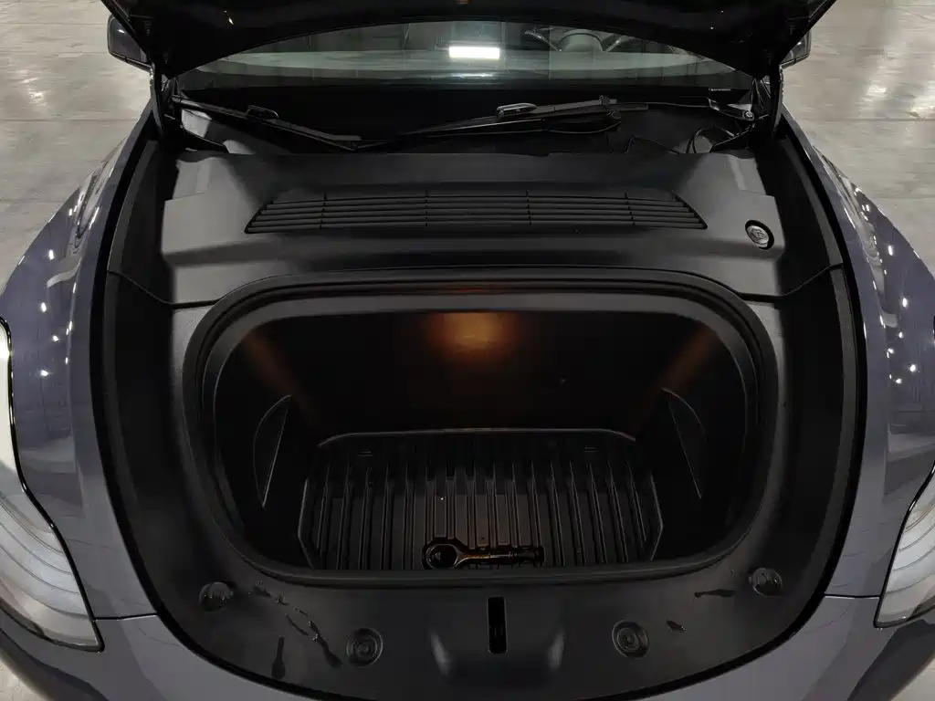 Tesla Model Y — миниатюра 6