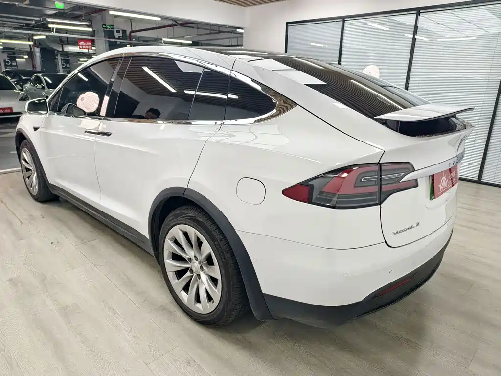 Tesla Model X — миниатюра 12