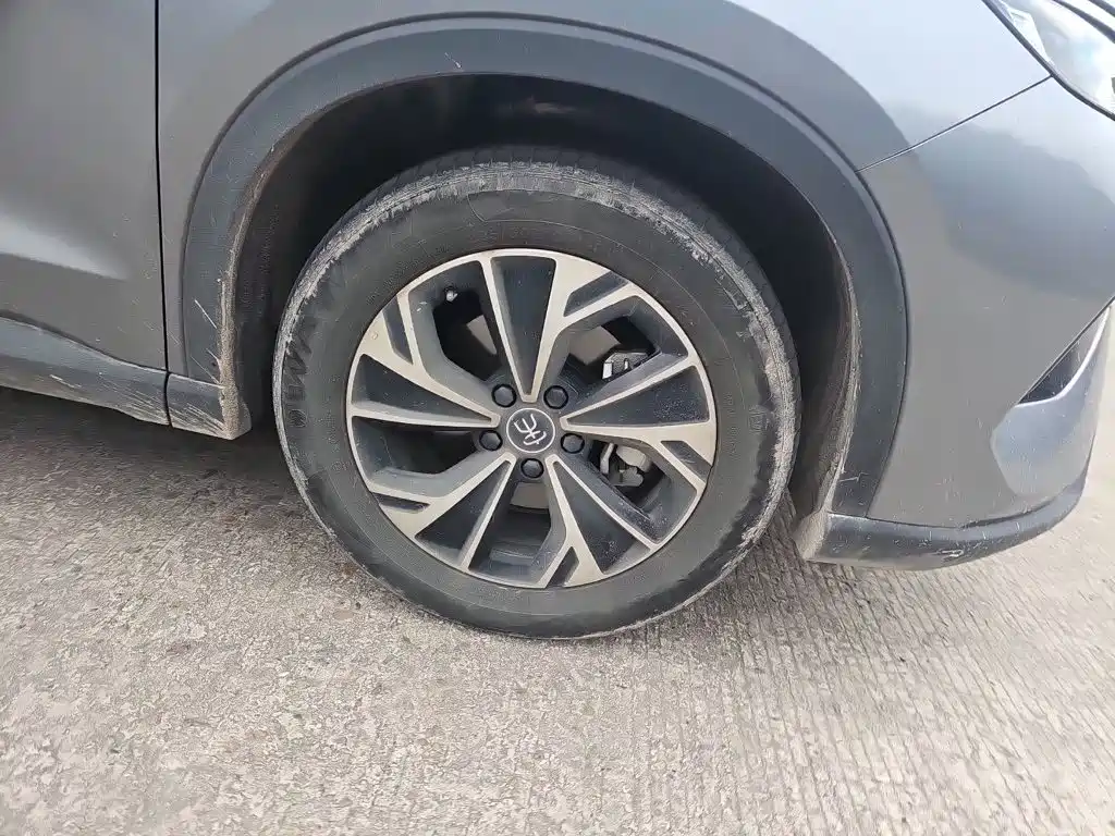 BYD Pro New Energy — миниатюра 25