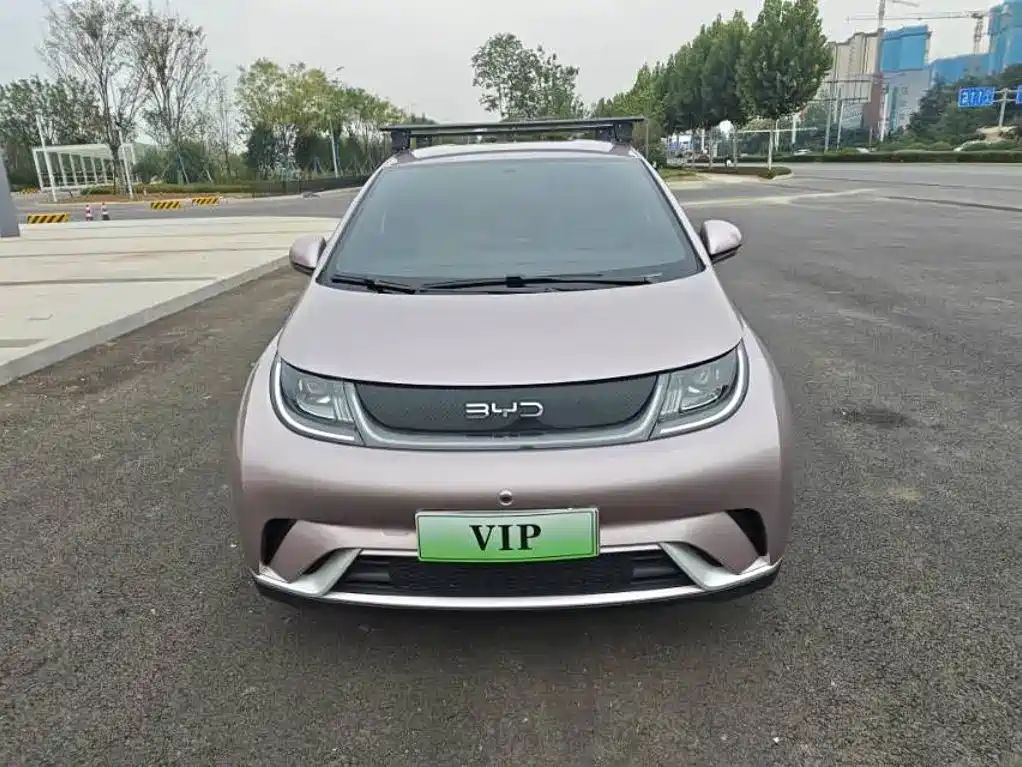 BYD Dolphin — миниатюра 2