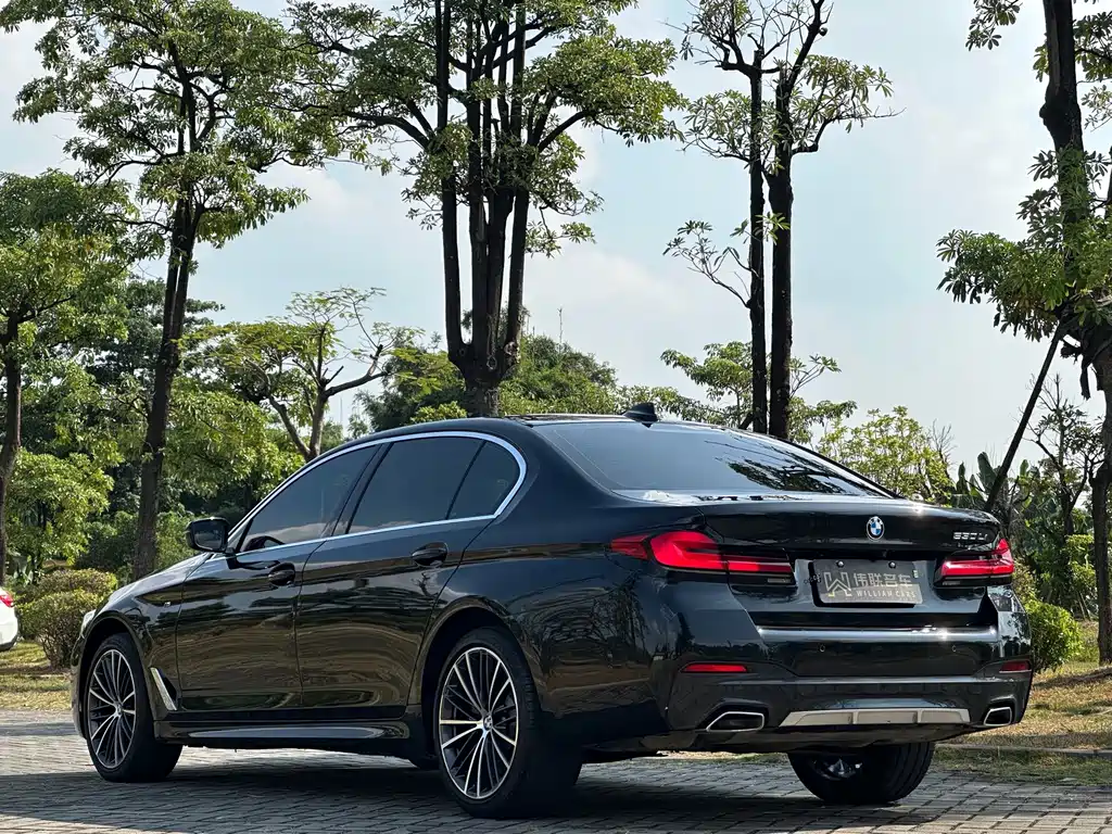 BMW 5 Series — миниатюра 4