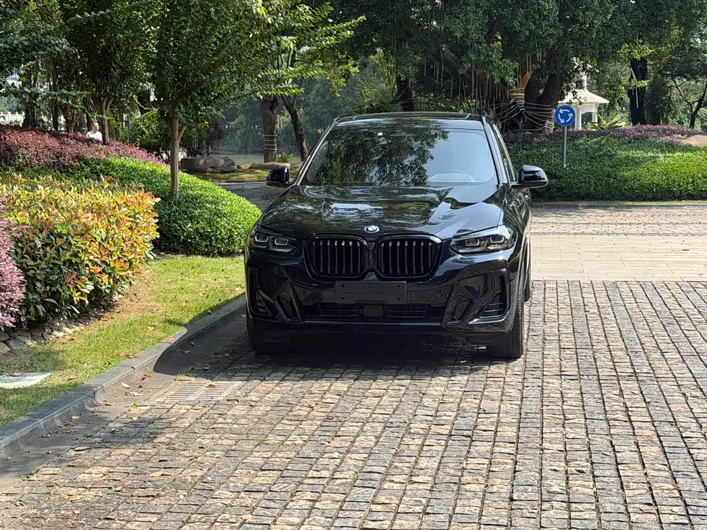 BMW X3 — миниатюра 2