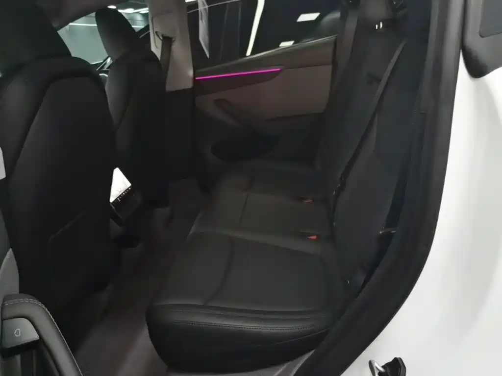 Tesla Model Y — миниатюра 17