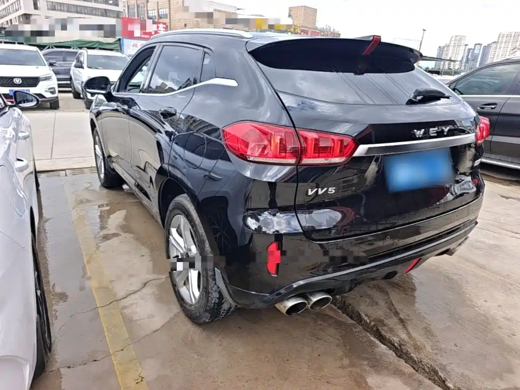Wey Wey VV5 — миниатюра 5