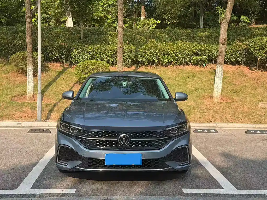 Volkswagen Passat — миниатюра 2