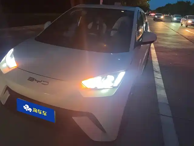 BYD Seagull
