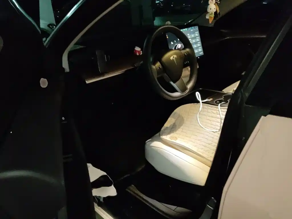 Tesla Model 3 — миниатюра 12