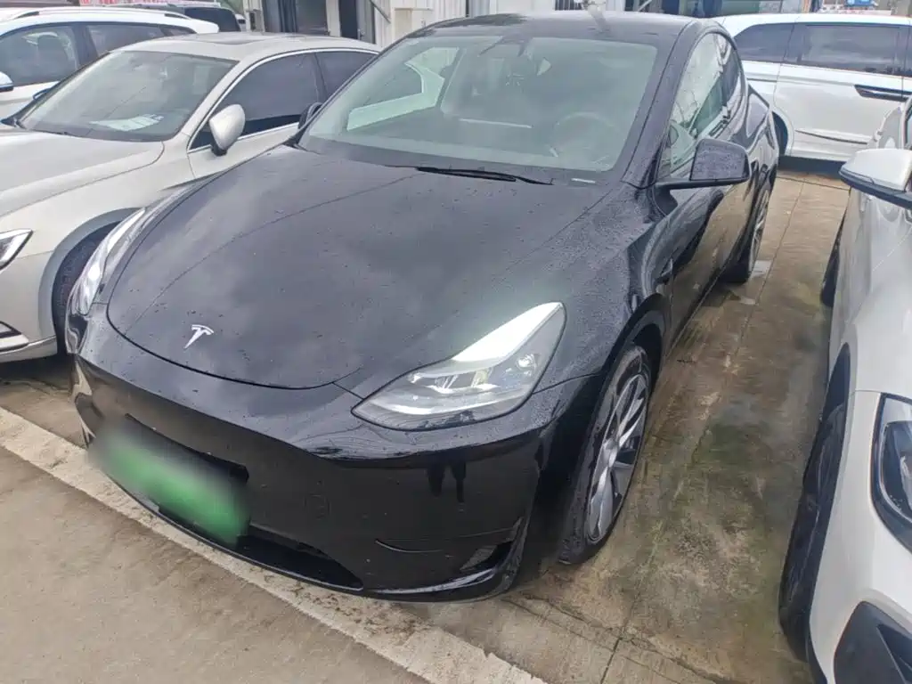 Tesla Model Y — миниатюра 2