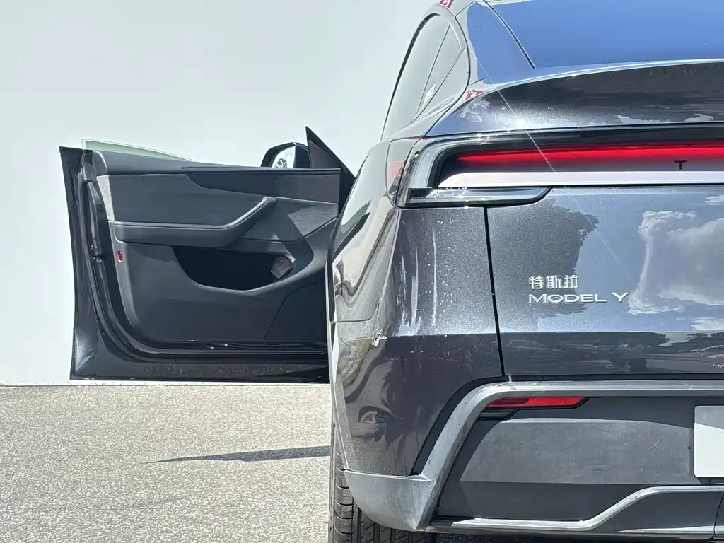 Tesla Model Y — миниатюра 6