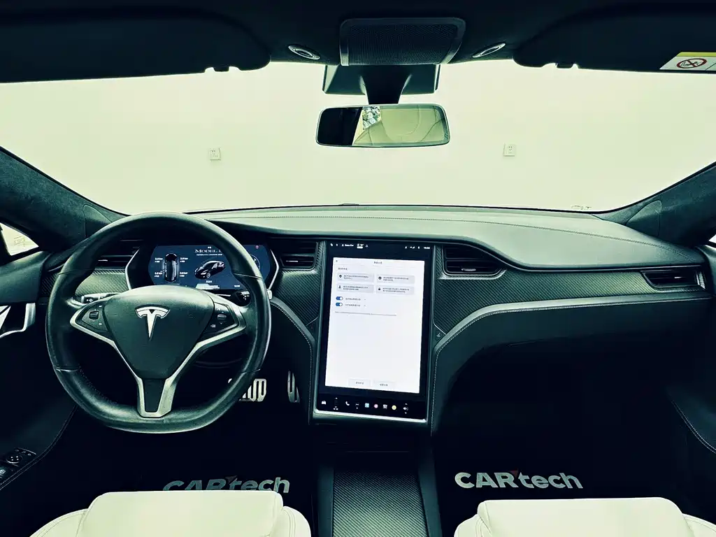Tesla Model S 2019 Performance