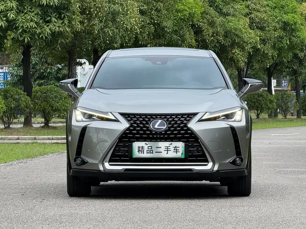 Lexus UX 2020 300e