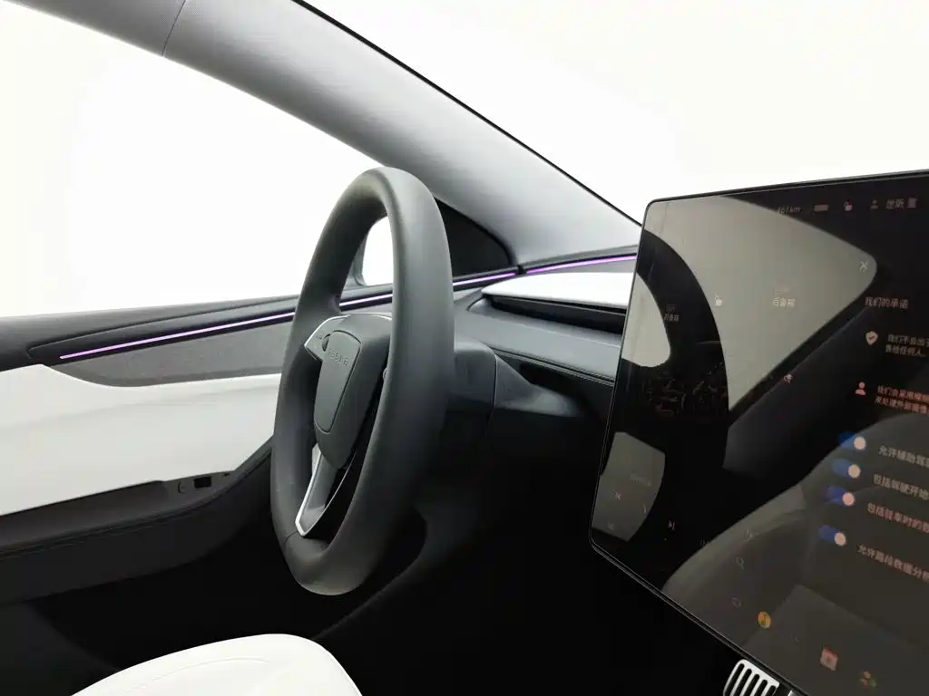 Tesla Model Y — миниатюра 22