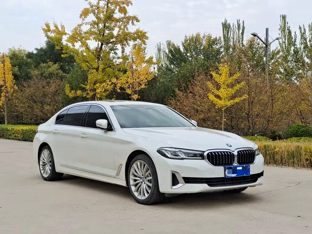 BMW 5 Series — миниатюра 3