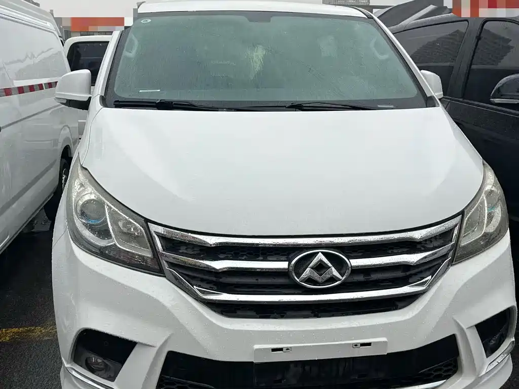 Maxus G10 2018
