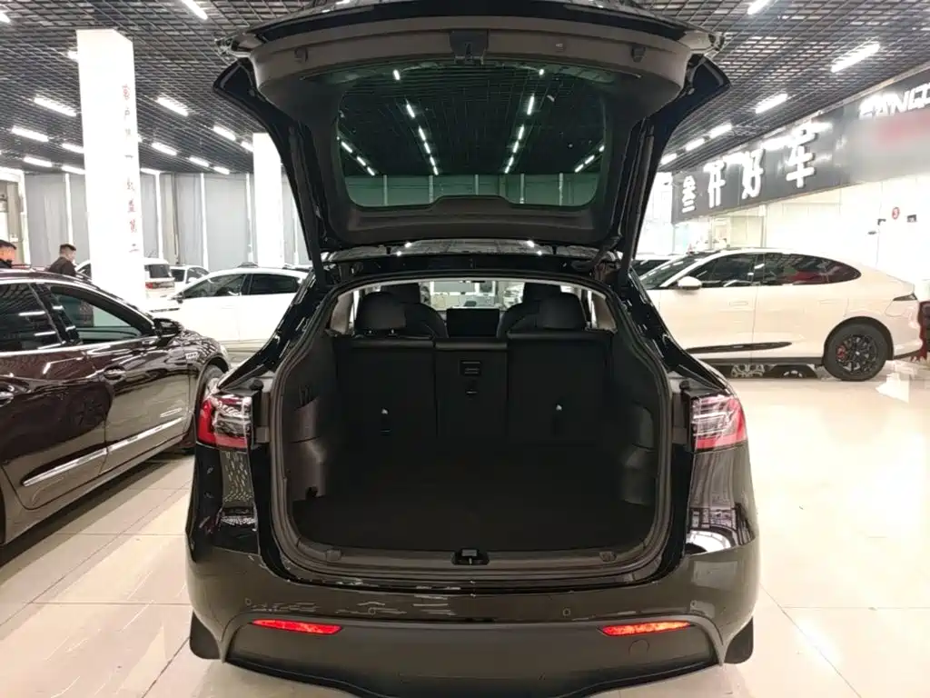 Tesla Model Y — миниатюра 19