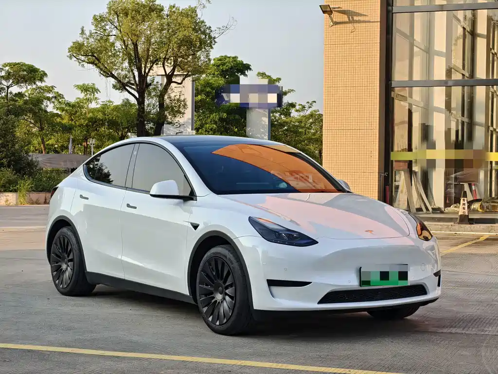 Tesla Model Y — миниатюра 3